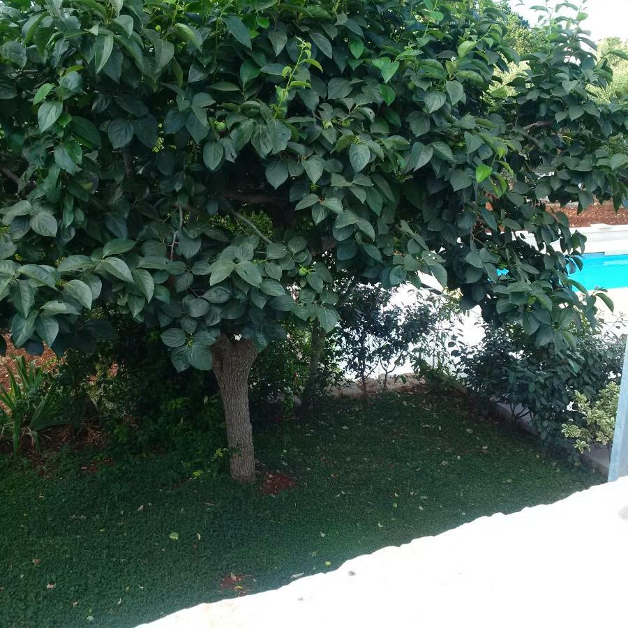Ferienwohnung Pignare Locorotondo Exterior foto